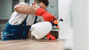 Best Pest Control for Multi-Family Homes  in Castle Hills, TX